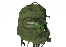 Тактический рюкзак 35L Outdoor Molle 3D Assault Military Light Version 47х30х23cm /AS-BS0034OD/олива/ %